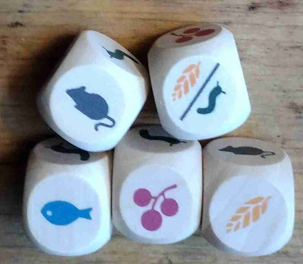 Original Wingspan Dice