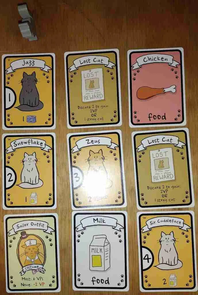 Cat lady setup