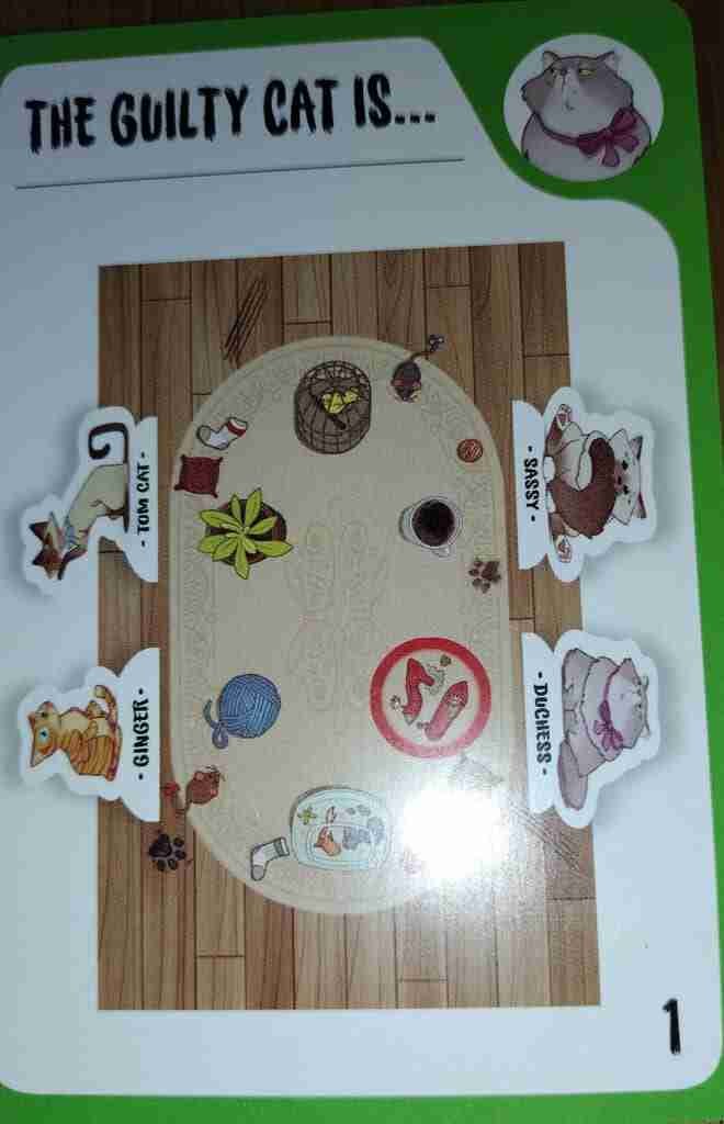 Cat Crimes level 1 answer