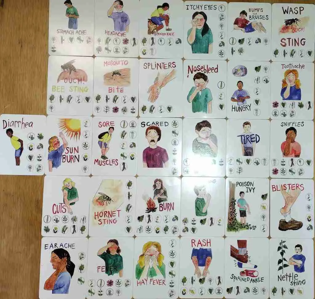 Wildcraft trouble cards