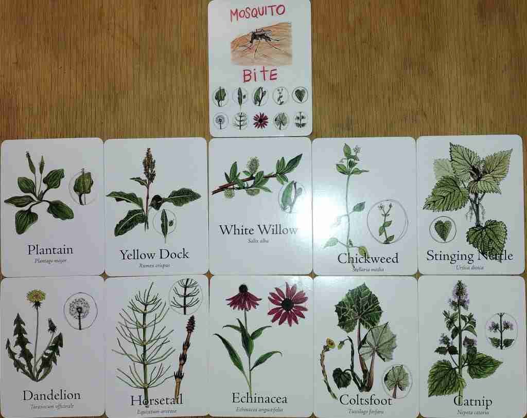 A trouble card (mosquito bite) and all the plant cards that can help with it.