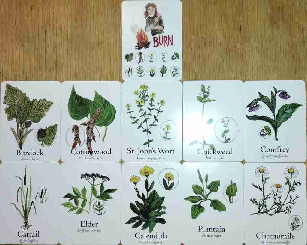 Wildcraft trouble card (burn) with healing plant cards