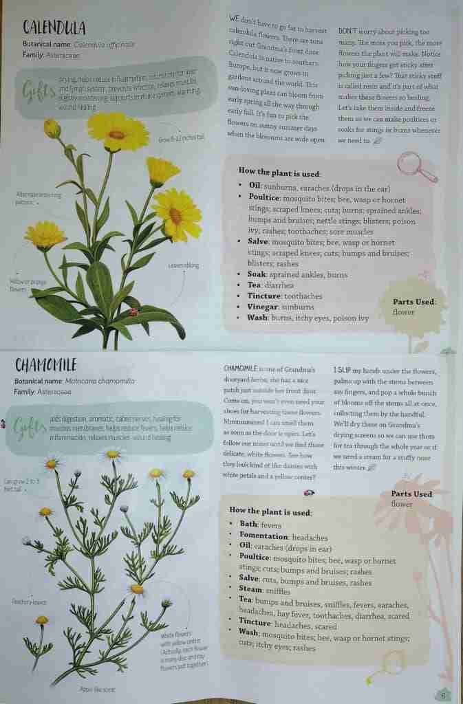 free download of plant information