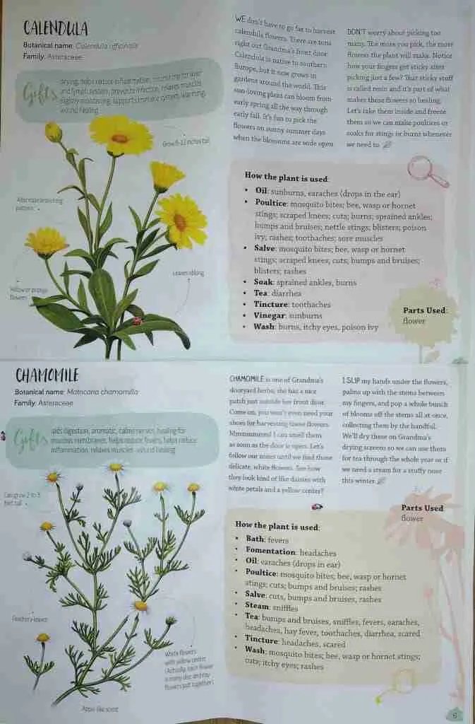 free download of plant information