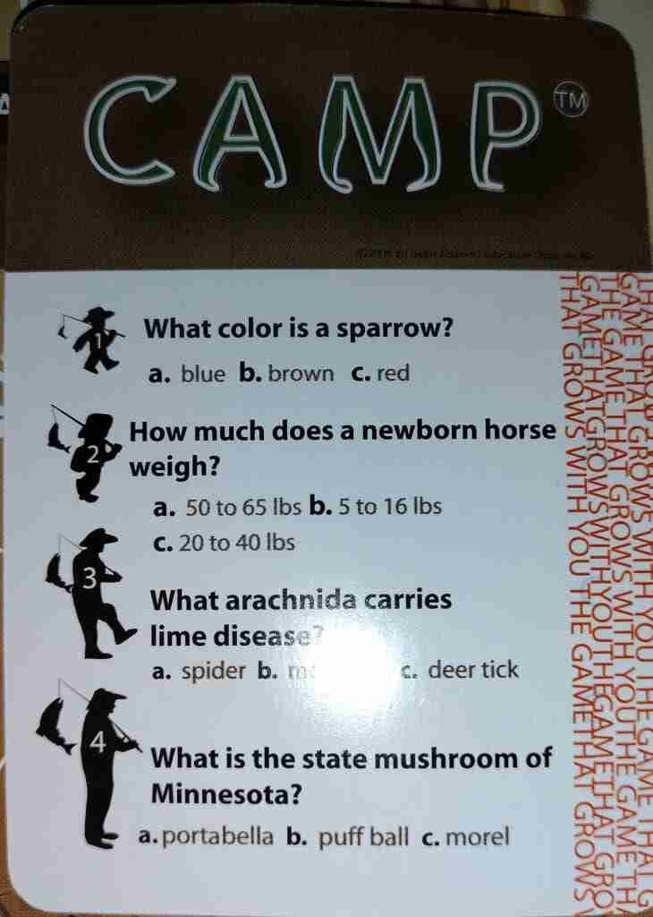 CAMP trivia card with 4 levels of difficulty