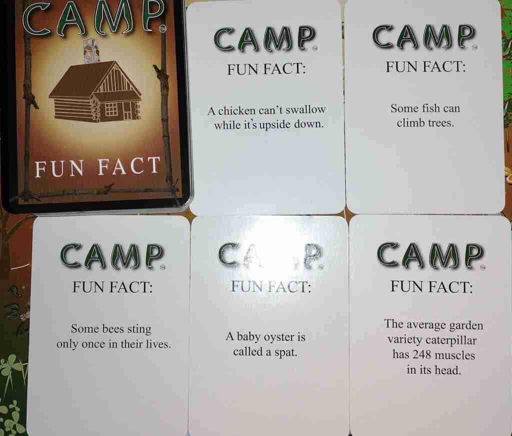 CAMP fun fact cards