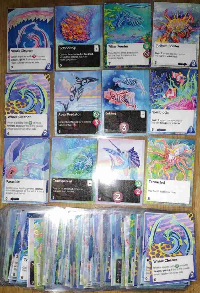 Ocean cards
