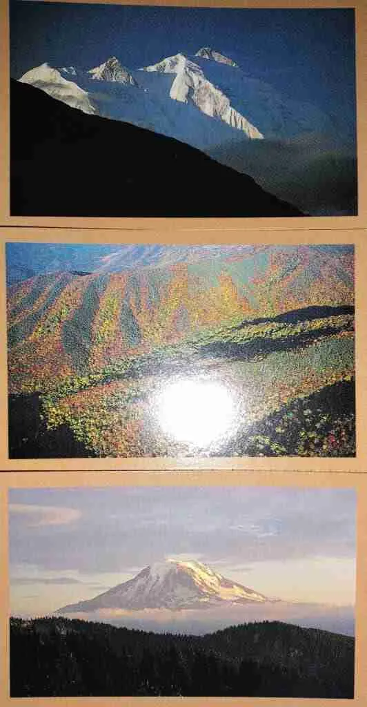 question card backs
